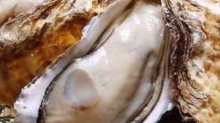 炉端・郷土料理 魚いち 分店