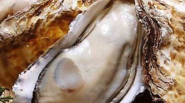 炉端・郷土料理 魚いち 分店