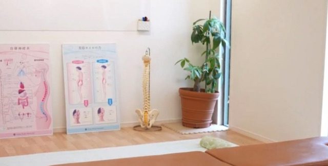 Chiro clinic FUN