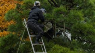 緑康株式会社